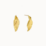 9ct Gold Delicate Leaf Studs